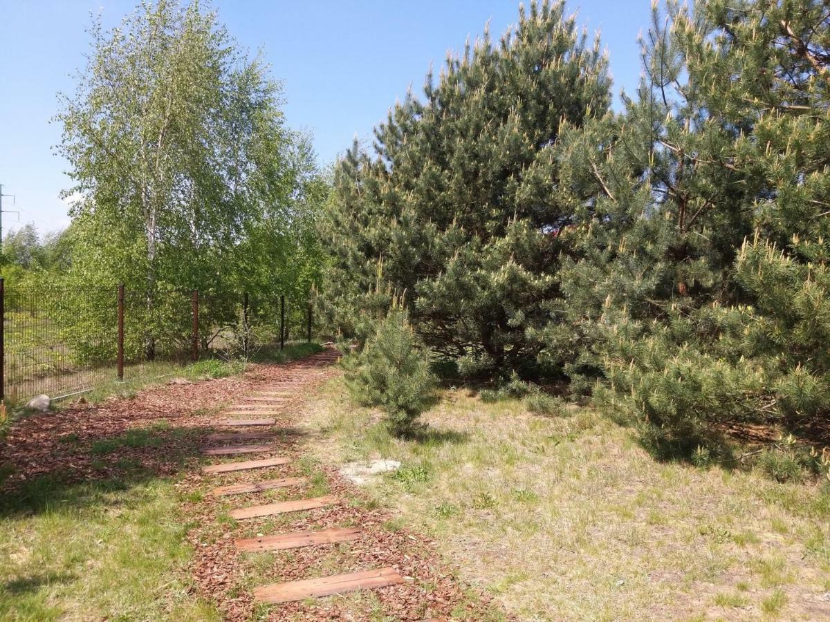 Miodowy Zakatek Caloroczne Domki I Pokoje Przy Suntago, Deepspot, Pyszne Sniadania, Grill, Ognisko Мщонув Екстер'єр фото